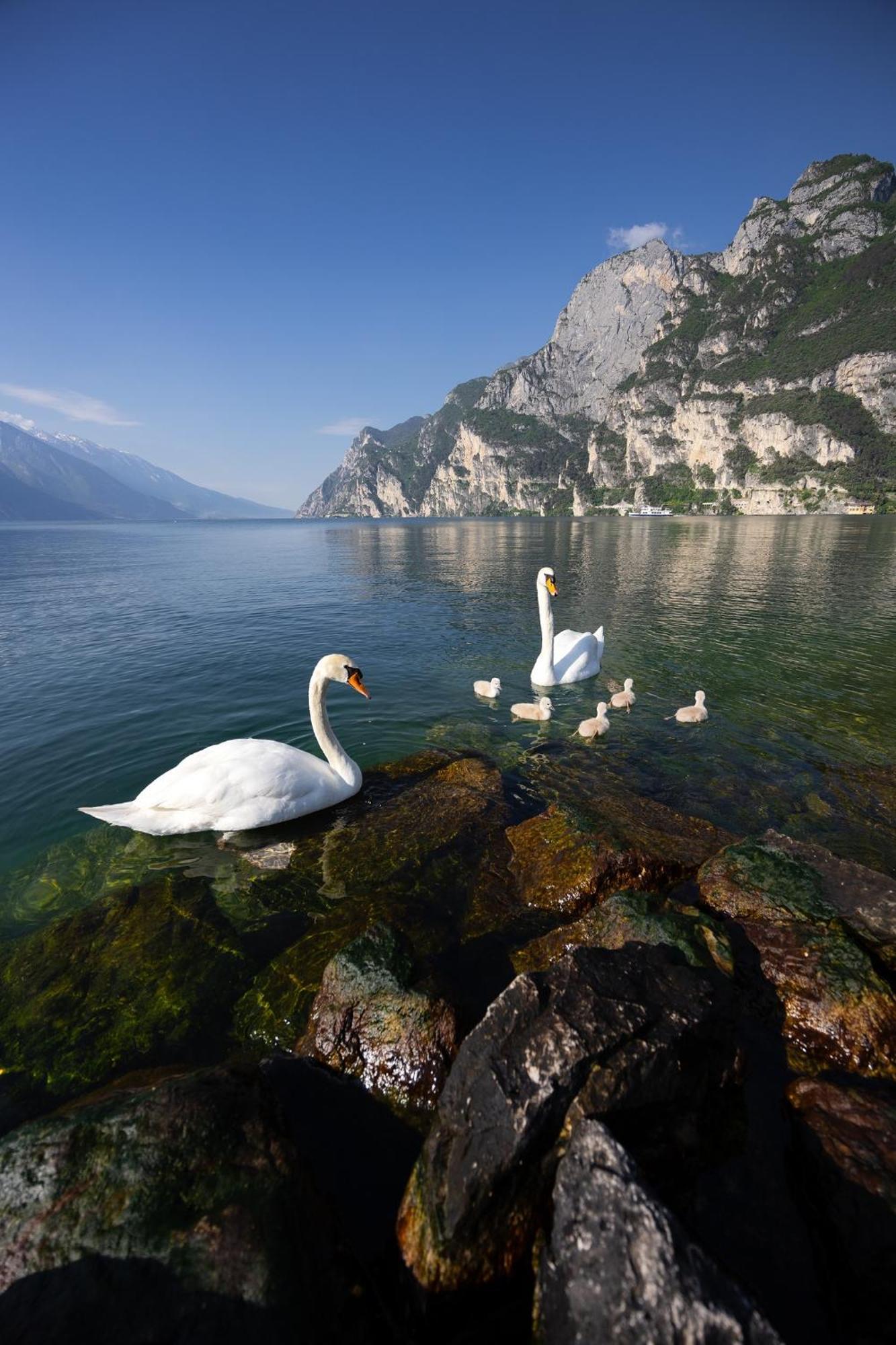 Appartamento Laura Riva del Garda Kültér fotó